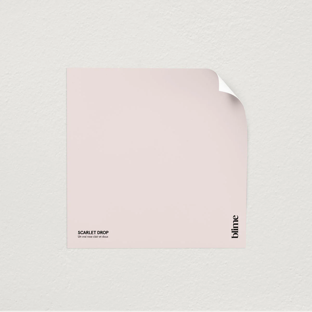Les roses - Image 8