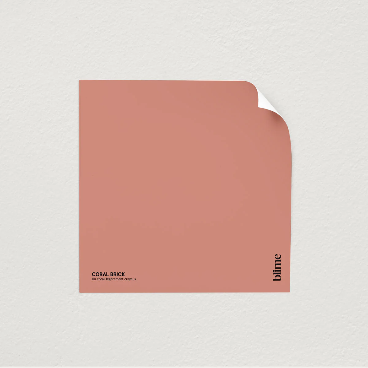 Les terracottas - Image 4